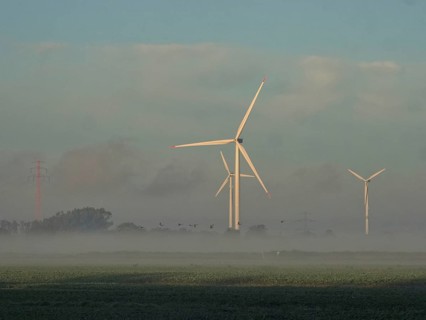 Wind turbines and power lines in the early morning fog. Ochsenwerder