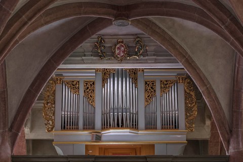 Organ