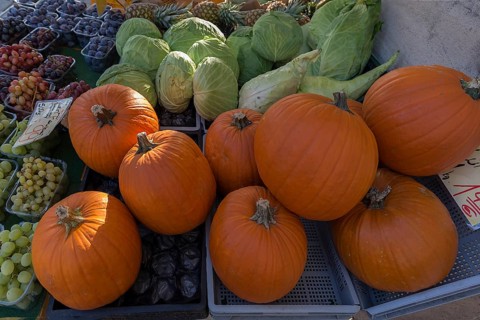 Hokkaido pumpkin