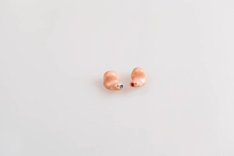 Two In Ear Hearing Aids
