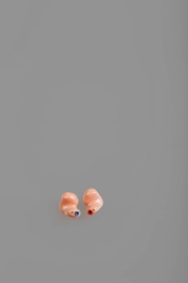 Two In Ear Hearing Aids