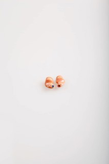 Two In Ear Hearing Aids