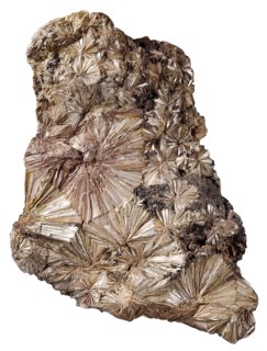 Pyrophyllite from the Ward Mine