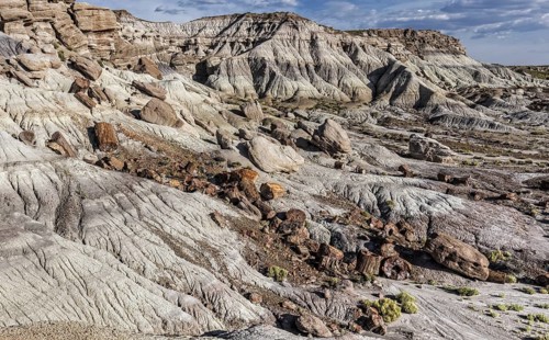 Petrified Forest National Park