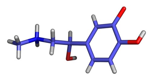 Adrenaline is a hormone synthesized in the adrenal medulla