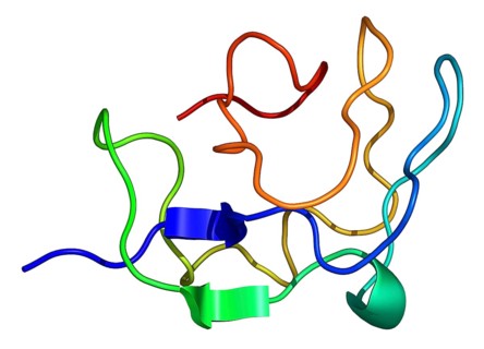 Antifreeze proteins are found in certain fish inhabiting polar sea water. These proteins depress the freezing points of blood and body fluids below that of the surrounding sea water by binding to and ...