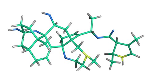 Batrachotoxin from a Golden Poison Frog