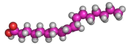 Linoleic Acid