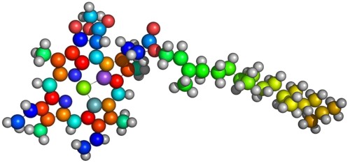 Molecule of Chlorophyll