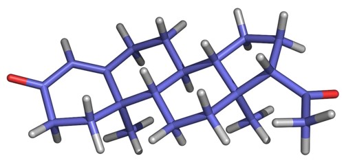 Progesterone is the pregnancy hormone secreted by the ovaries
