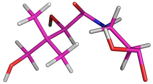 Pantothenic Acid Molecule