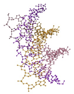 Triple Helix DNA Molecule