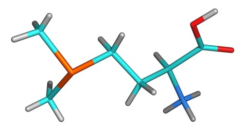 S-Methylmethionine