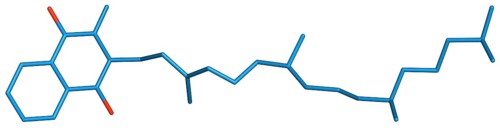 Vitamin K denotes a group of lipophilic