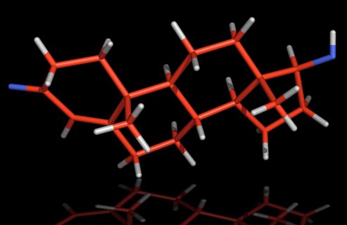 Testosterone is a hormone essential to both males and females