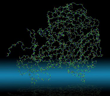 Molecule of a human rhinovirus 16 coat protein at high resolution