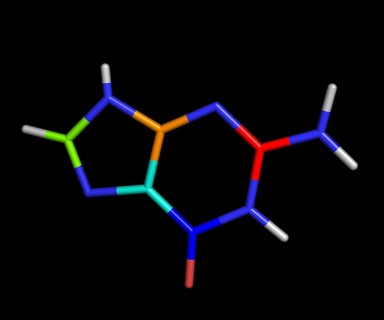 Guanine is one of the five main nucleobases found in the nucleic acids DNA and RNA. The others being adenine