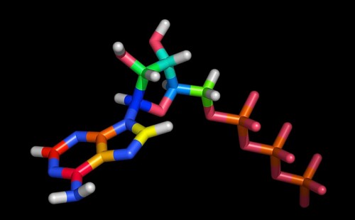 Molecule of Adenosine Triphosphate