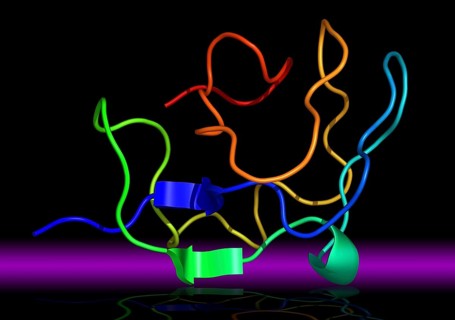 Antifreeze proteins are found in certain fish inhabiting polar sea water. These proteins depress the freezing points of blood and body fluids below that of the surrounding sea water by binding to and ...