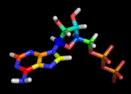 Adenosine diphosphate