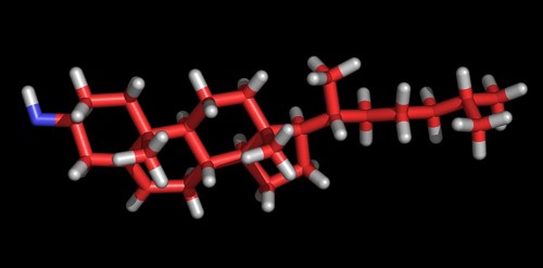 Cholesterol Molecule
