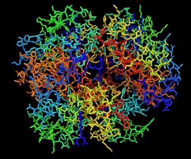 Hemoglobin