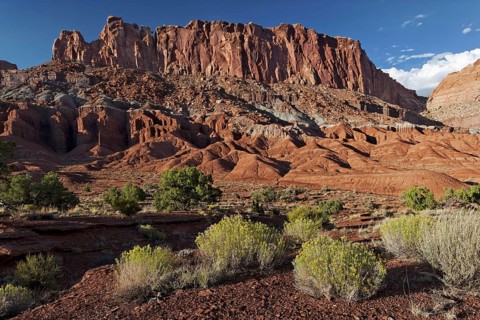 Capitol Reef National Park