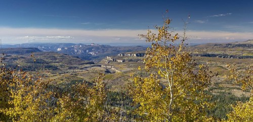 Changing Aspen