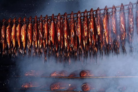 Smoking Herring