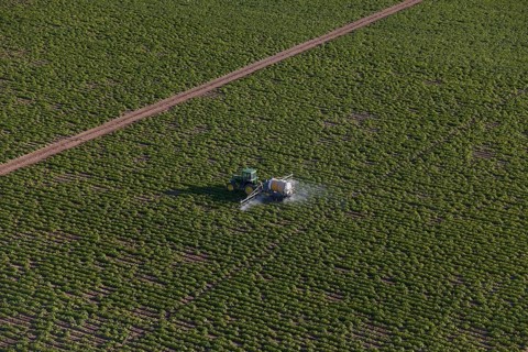 Spraying Liquid Ammonia on Crops