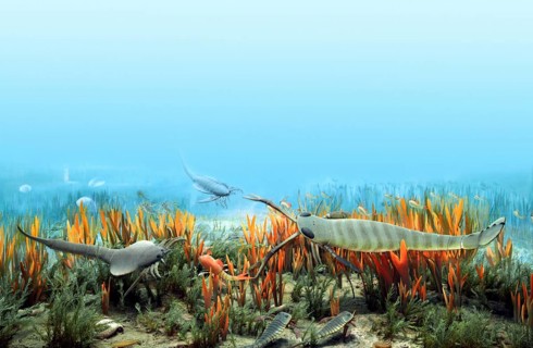 Ancient Silurian Ocean