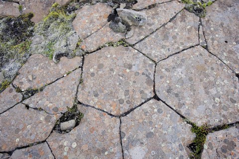 Columnar Basalt Revealing Hexagonal Structure