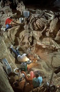 Paleontologists Excavating Colombian Mammoth Remains