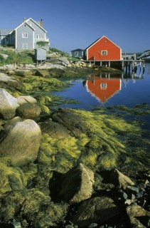 Peggy's Cove Reflections