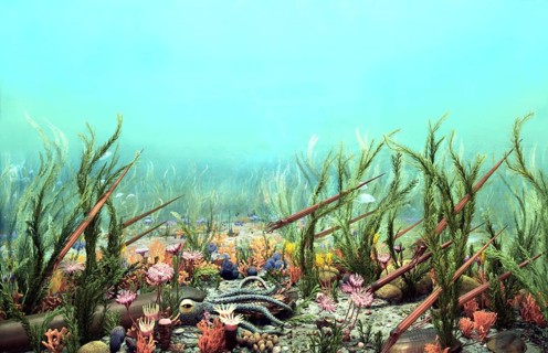 Ancient Ordovician Ocean