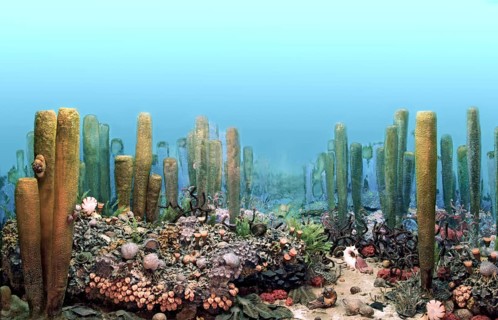 Ancient Permian Ocean