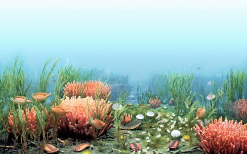 Ancient Cambrian Sea