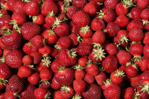Ripe Strawberries
