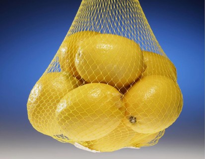 Net of Lemons
