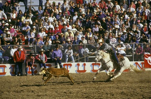 Calf Roping Contest