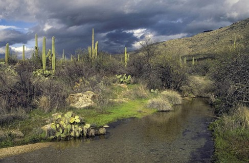 Water in the Desert