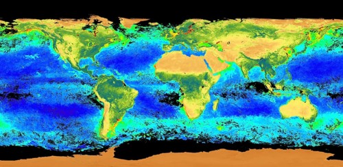 This view of Earth highlights biological activity