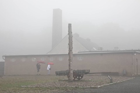 Stake and cart with crematorium in the fog at beech forest concentration camp