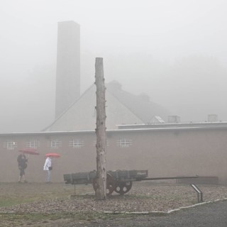 Stake and cart with crematorium in the fog at beech forest concentration camp