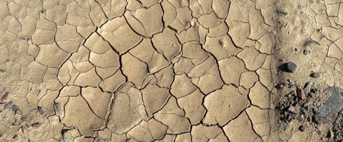 Clay soil with dry cracks