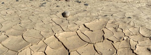 Clay soil with dry cracks