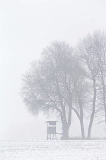 Raised hide under tree in snow covered field in the mist in winter