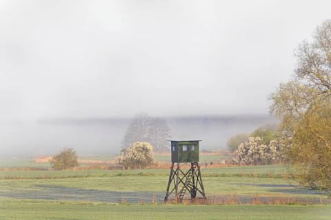 Meadow with raised hide for hunting wild boar and roe deer in early morning mist in spring