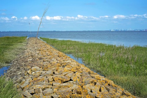 Fedderwardersiel in the Wesermarsch district Weser estuary at high tide in the background the Bremerhaven river quay Embankment