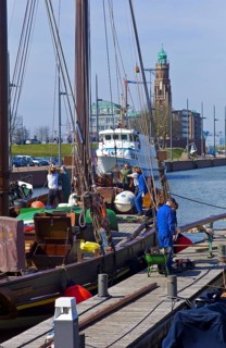 Traditional ships in the New Harbour